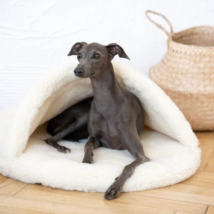 MSG_4842_Large_8591b91f-7b9c-4396-8833-9354550210a6 - Nai Pet Store