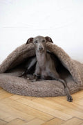 MSG_4896_Large_a7c5b7c2-e370-41f4-b080-ff7923e63c96 - Nai Pet Store