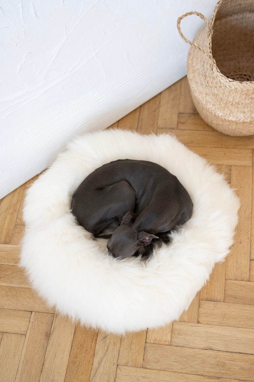 Round Natural Sheepskin Pet Bed - White - Nai Pet Store