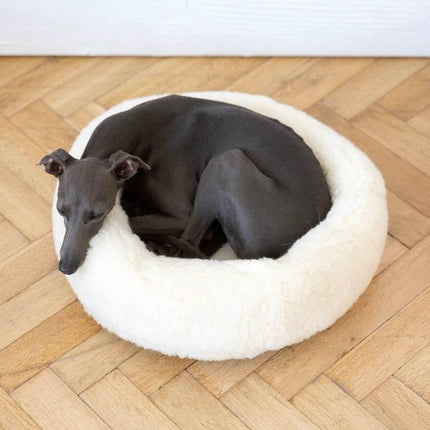 MSG_4972_Large_379529ec-8412-48c5-ad4c-83a3597ea8c5 - Nai Pet Store
