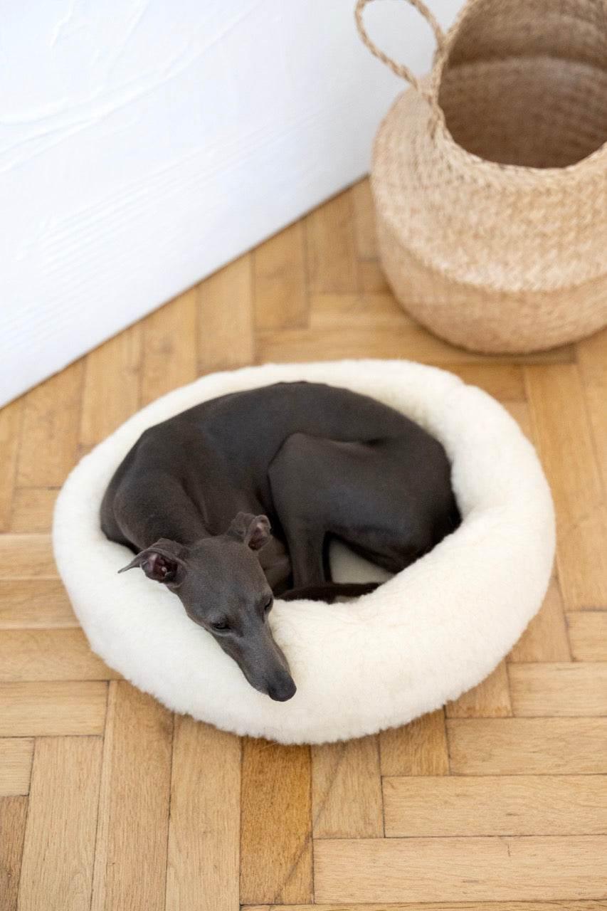 MSG_4974_Large_a2c5d016-1916-418e-a6dc-4f40c2aad03f - Nai Pet Store