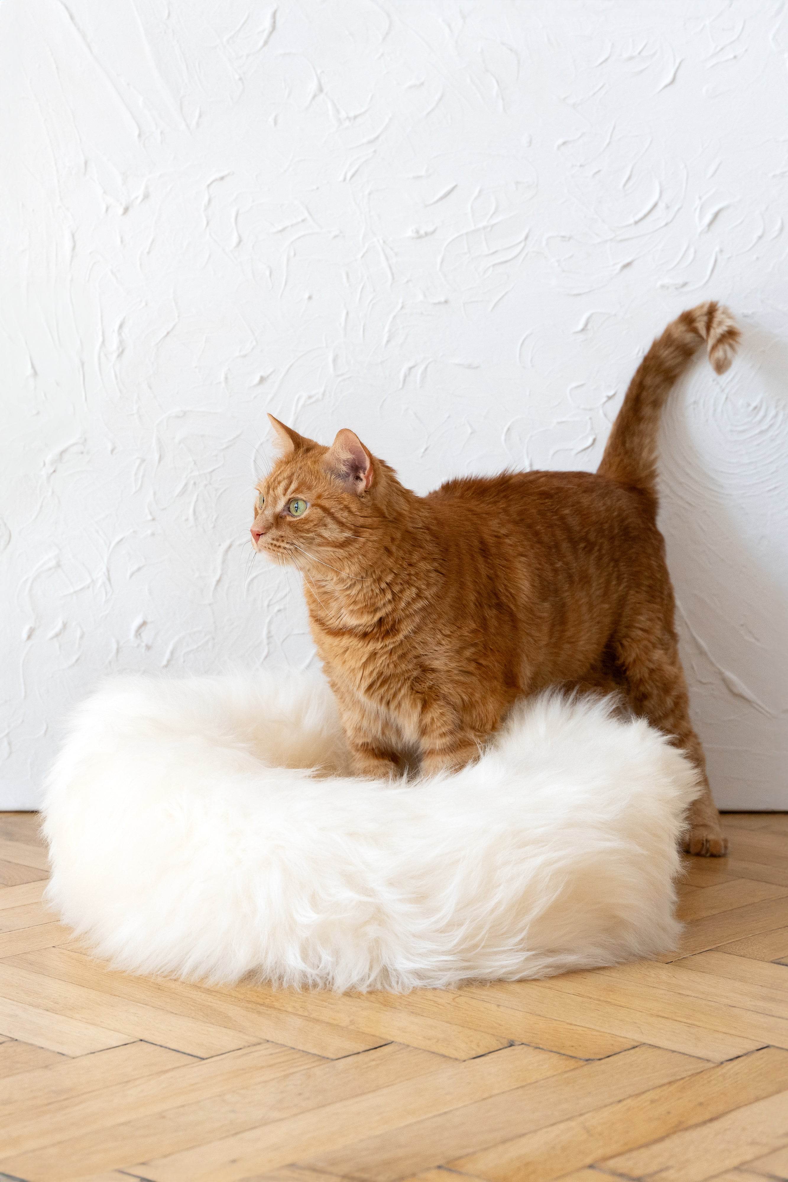 Round Natural Sheepskin Pet Bed - White - Nai Pet Store
