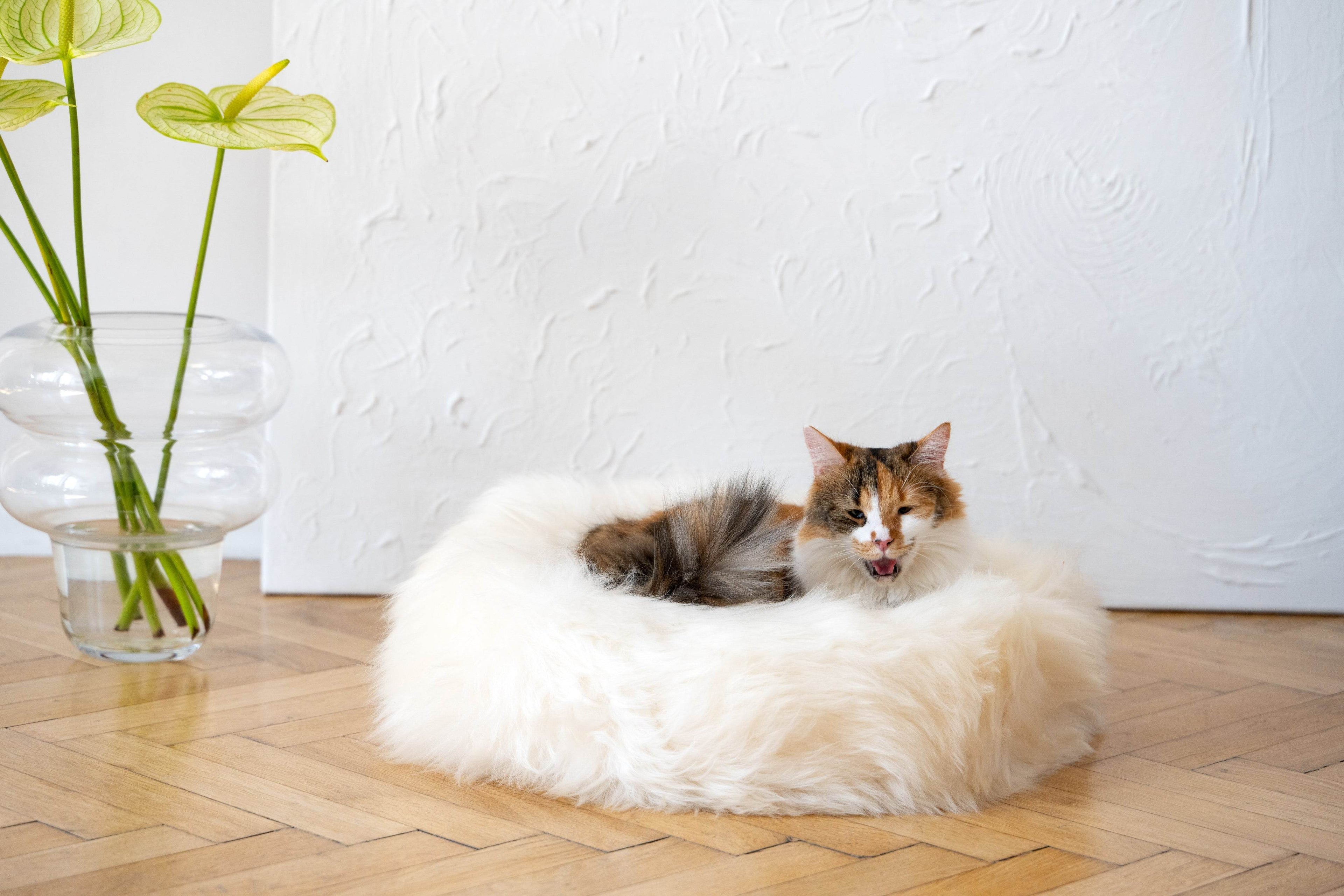 Round Natural Sheepskin Pet Bed - White - Nai Pet Store