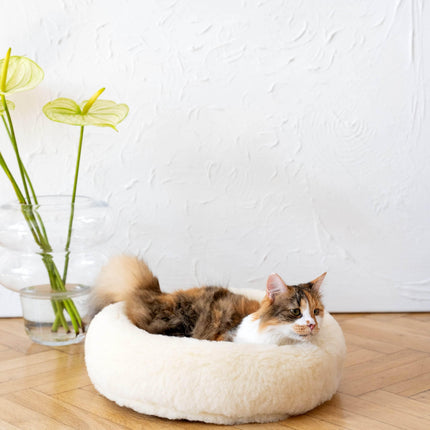 MSG_9544 - Nai Pet Store