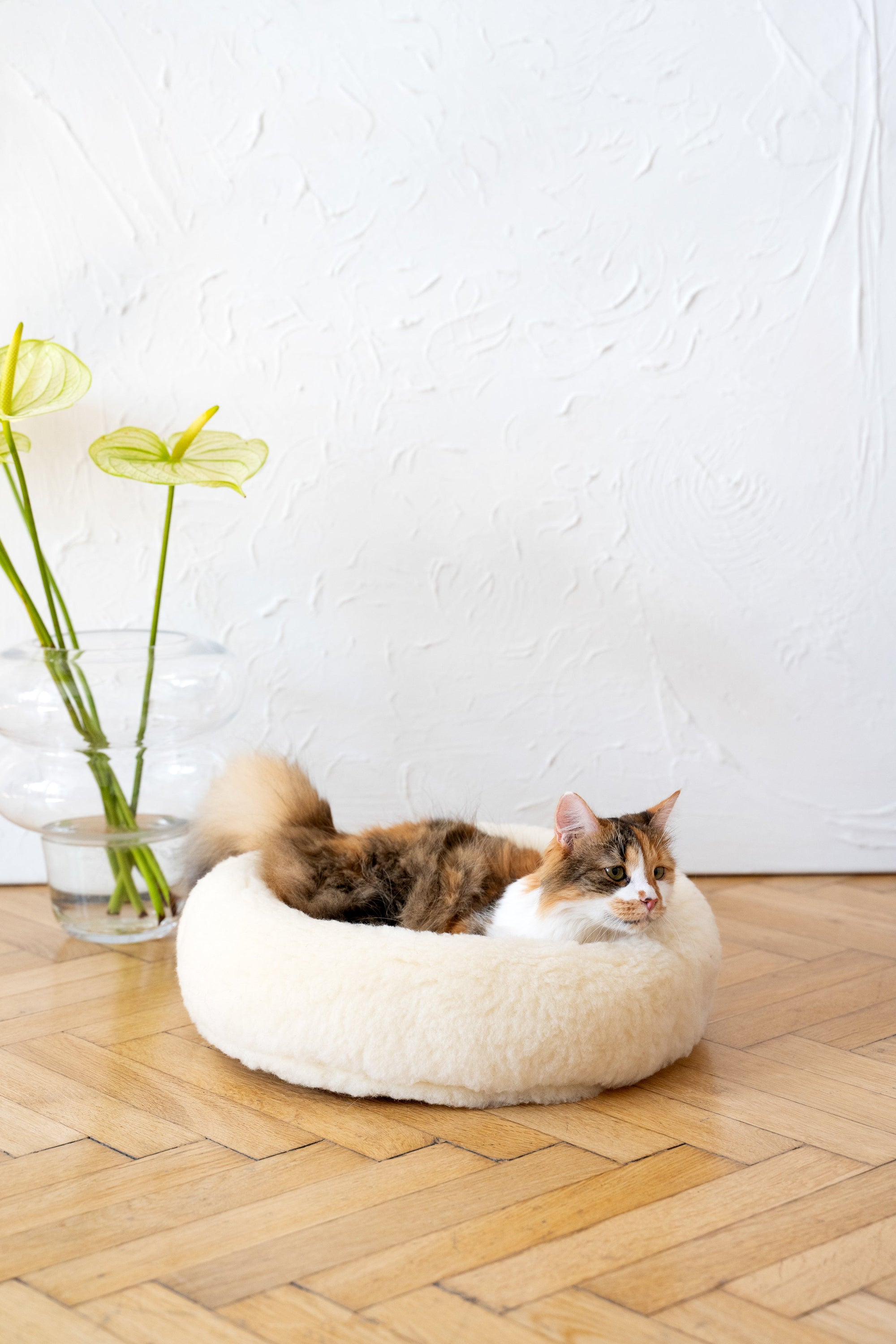 Round Natural Wool Pet Bed - White-1