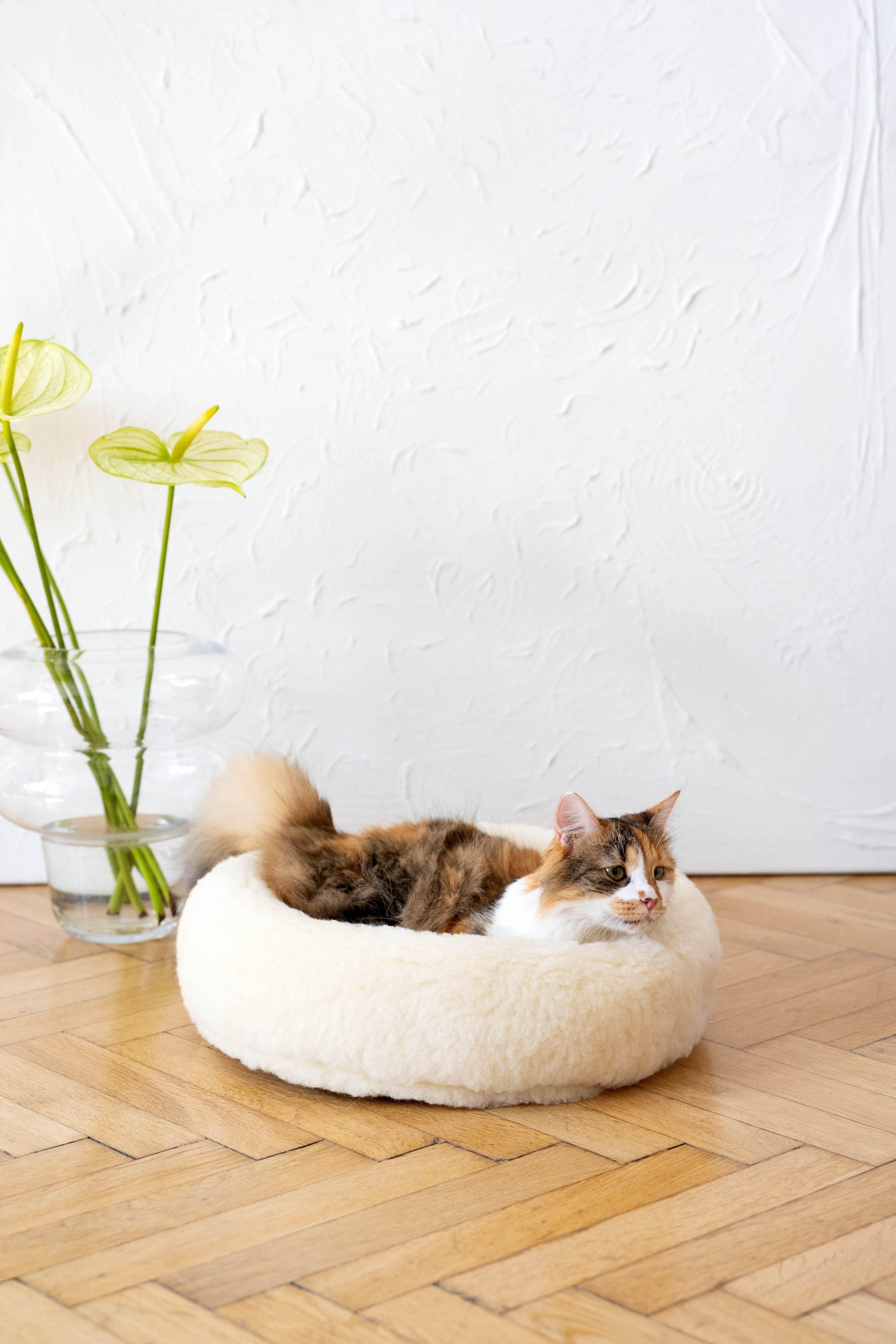 MSG_9544 - Nai Pet Store