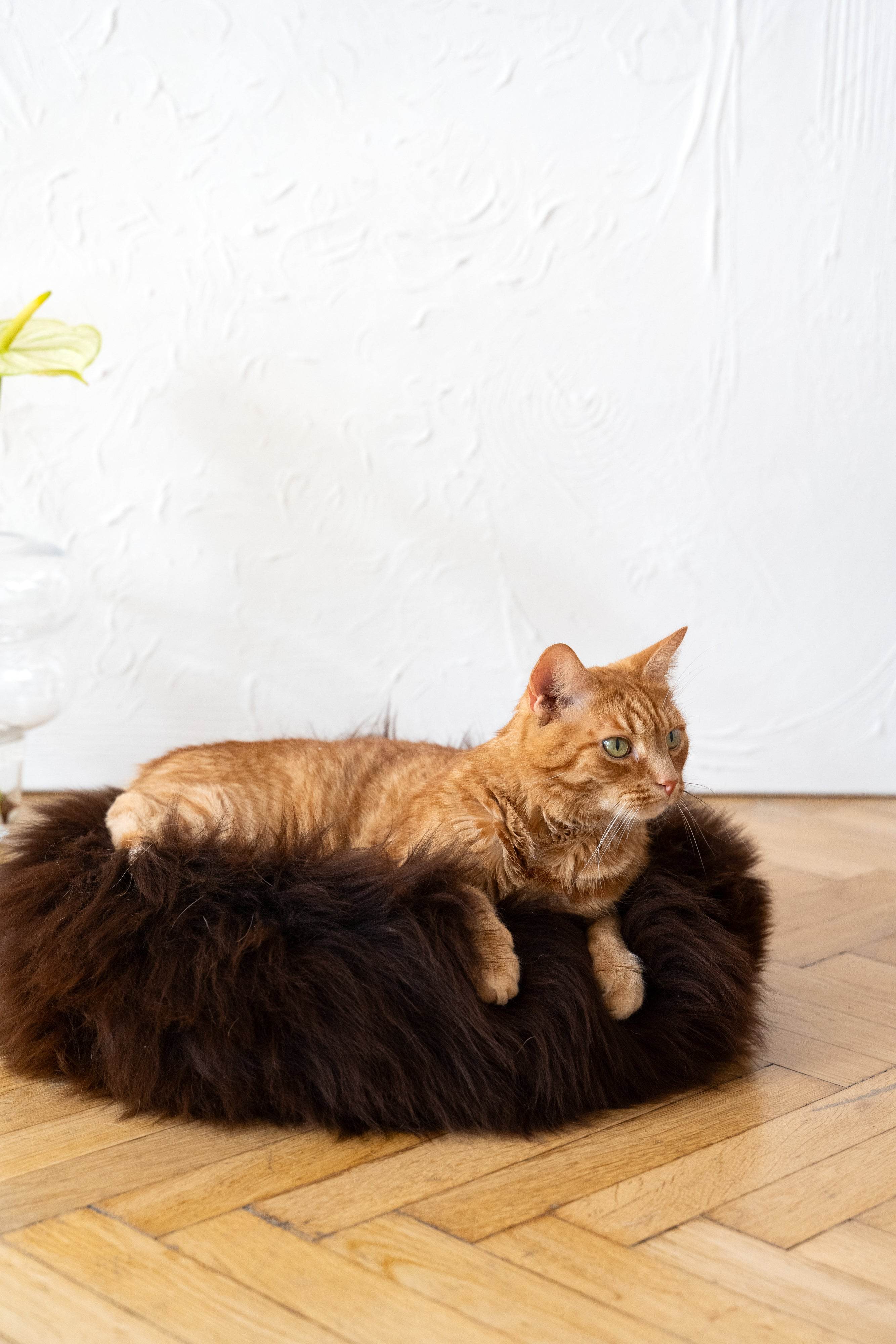 Round Natural Sheepskin Pet Bed - Brown - Nai Pet Store