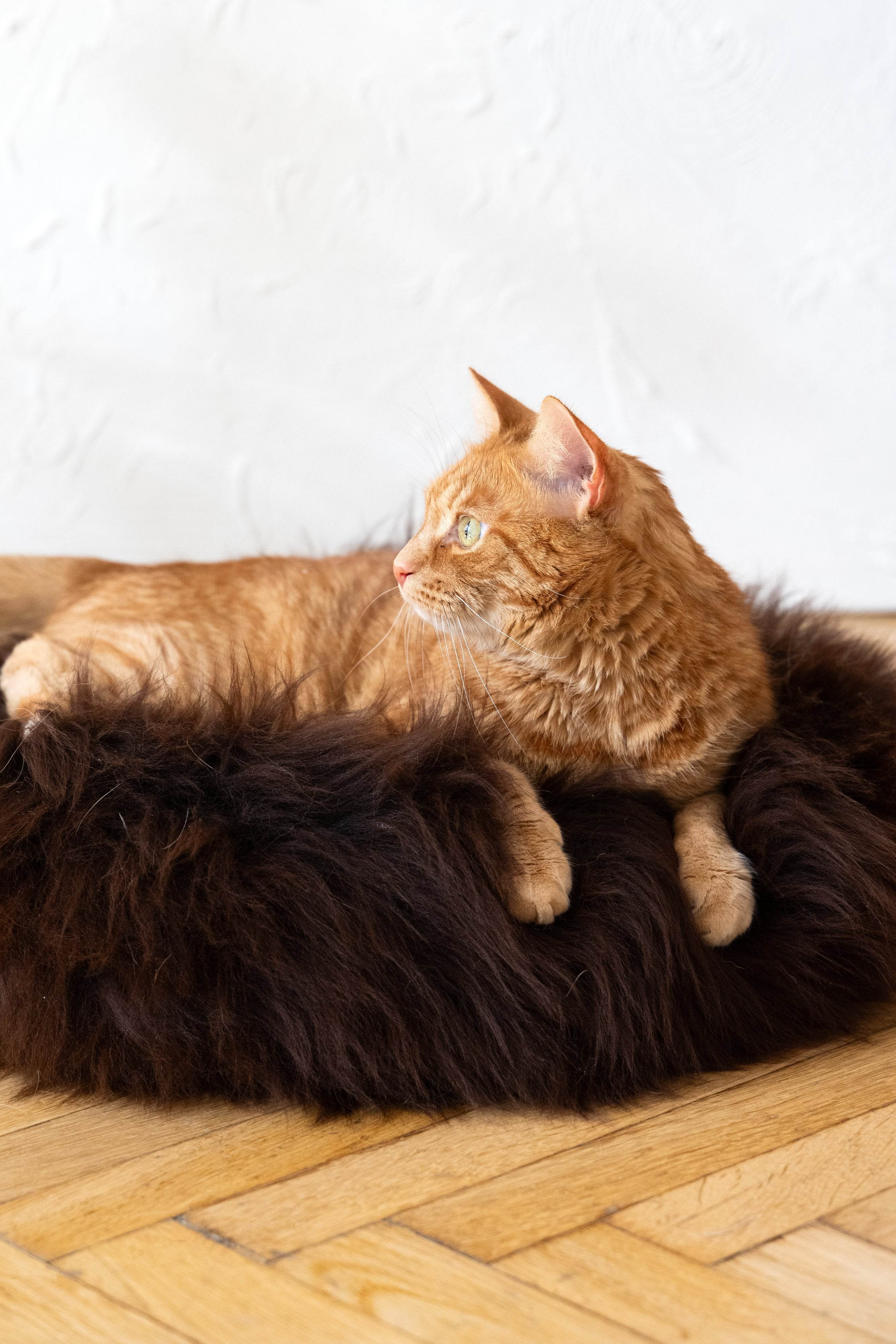 Round Natural Sheepskin Pet Bed - Brown - Nai Pet Store