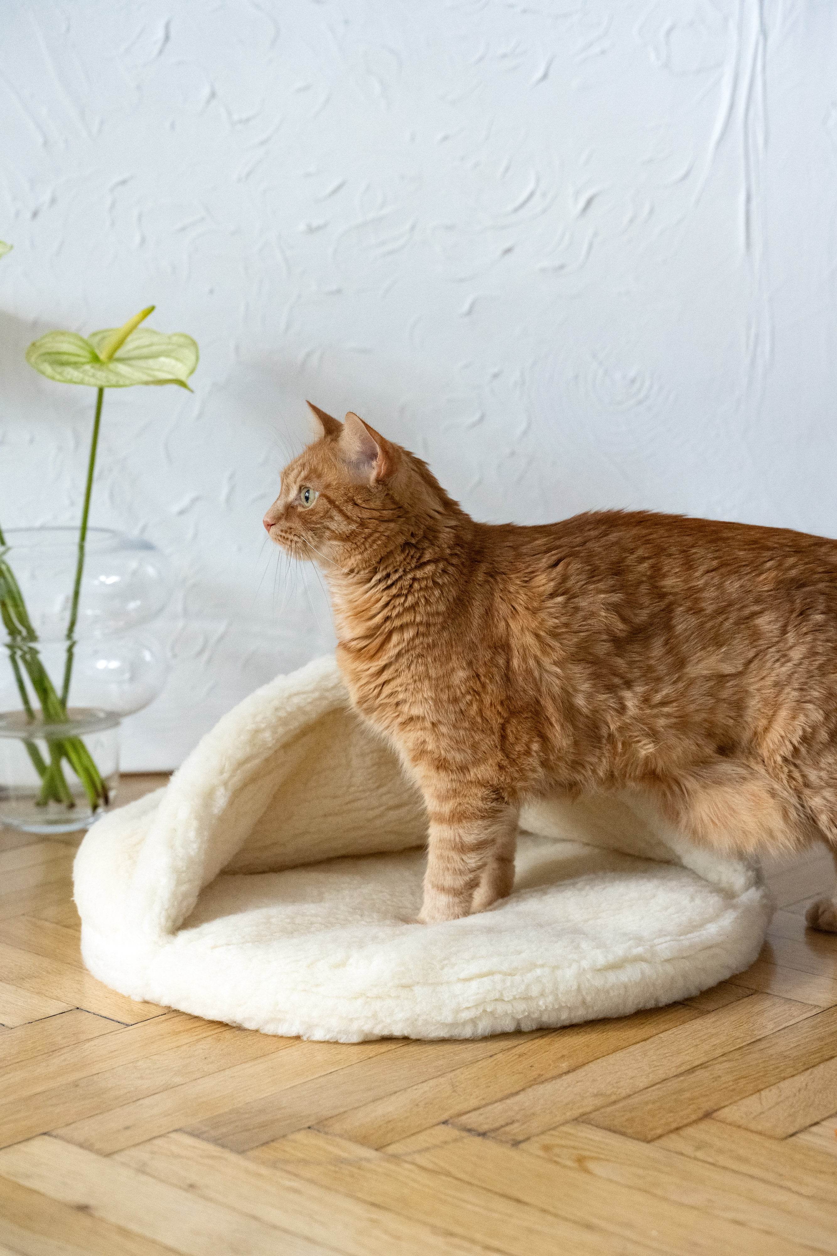 Natural Wool Pet Cave - White - Nai Pet Store