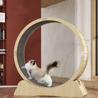 Cat treadmill L