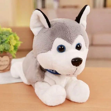 NurQfHgXeFquHa6j - Nai Pet Store