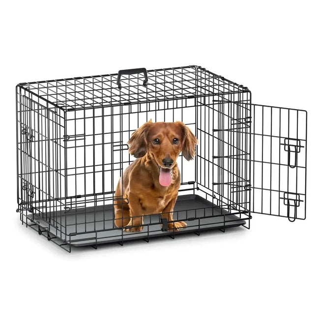 Pp338UsxkRWZ9dlv - Nai Pet Store