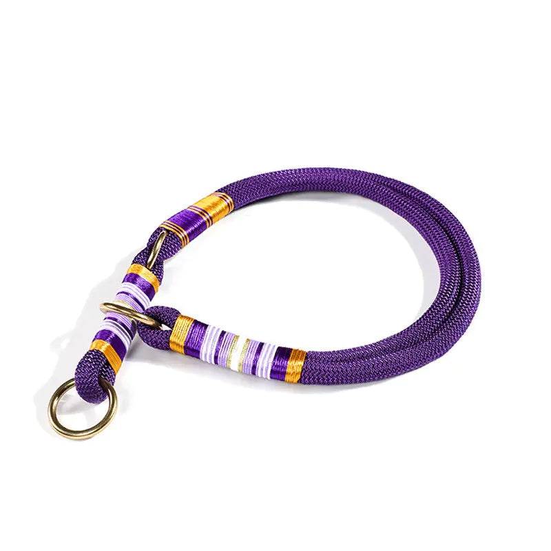 Anti-Breaking Loose Collar with Dog Hand Rope - Nai Pet Store