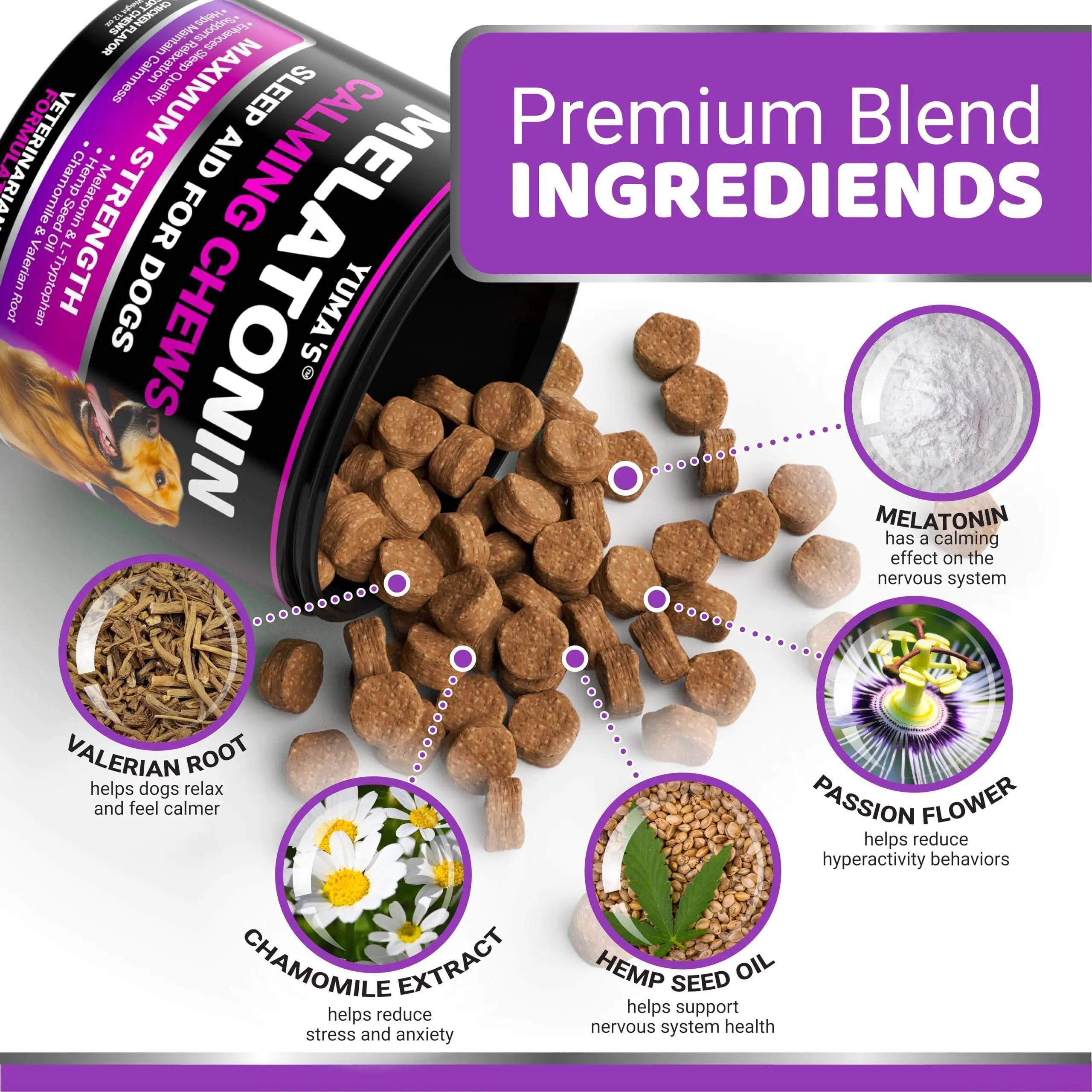 Melatonin Calming Chews for Dogs - Nai Pet Store