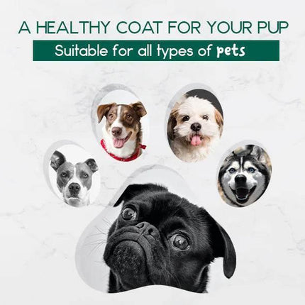 QX31UYnAYSURfda - Nai Pet Store