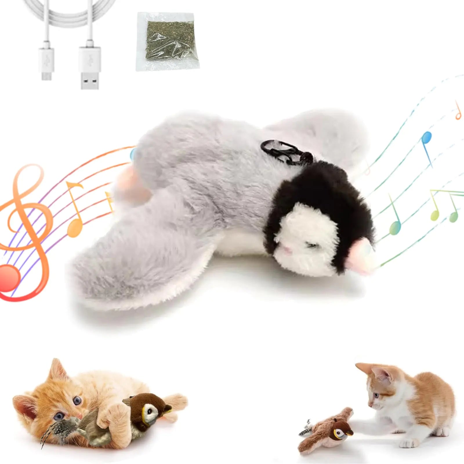 Chasey Bird & Cat Toy (B 1PC)