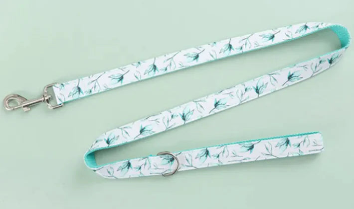 Pet Leash