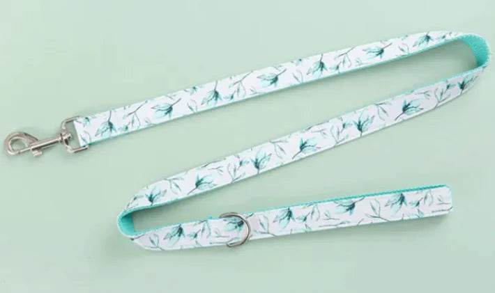 Pet Leash - Nai Pet Store