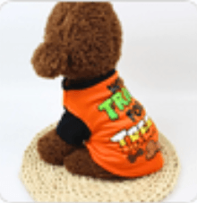Cartoon Print T-Shirt for Teddy Pet Clothing - Nai Pet Store