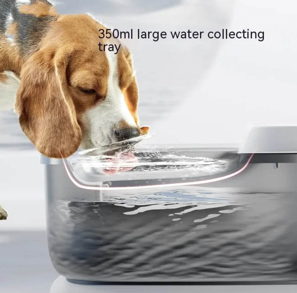 Minimalist Pet Water Dispenser - Nai Pet Store