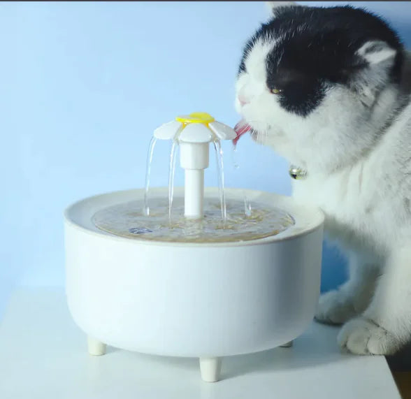Pet Water Dispenser