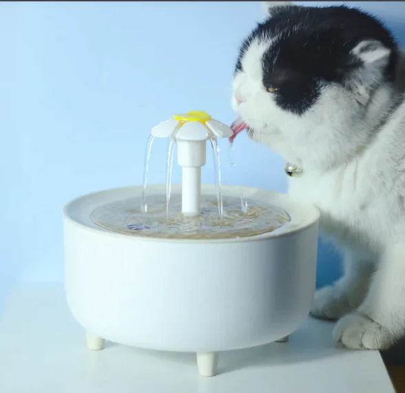 Pet Water Dispenser - Nai Pet Store