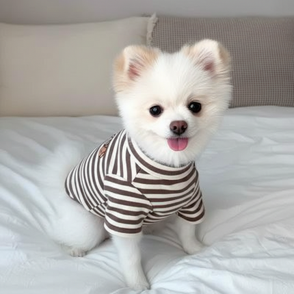 Lightweight Summer Clothing for Small Dogs