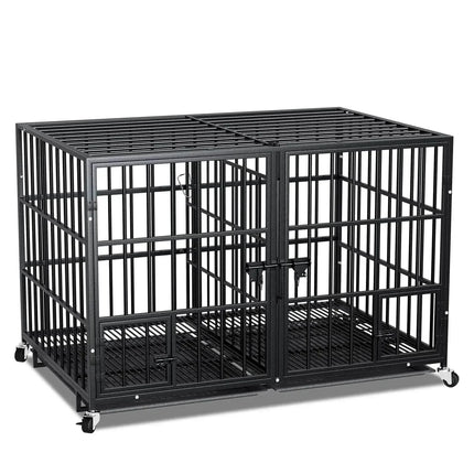 VUWn9ZXKCxCHsgM9 - Nai Pet Store