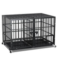 VUWn9ZXKCxCHsgM9 - Nai Pet Store
