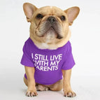A Purple / L
