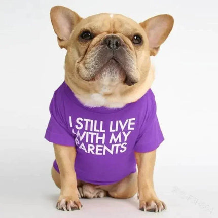 Vr1avpCmVsCiZyVU - Nai Pet Store