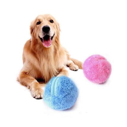 WuvxhVjzBktWUJjg - Nai Pet Store