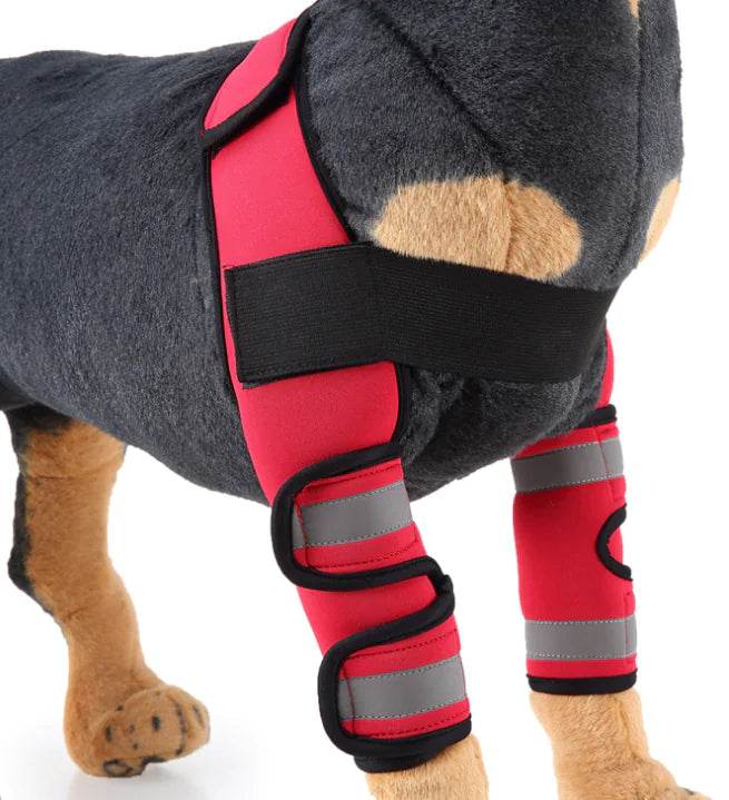 Dog Knee Brace and Leg Protector for Injury Recovery - Nai Pet Store