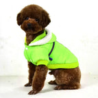 Fluorescent green / 2XL