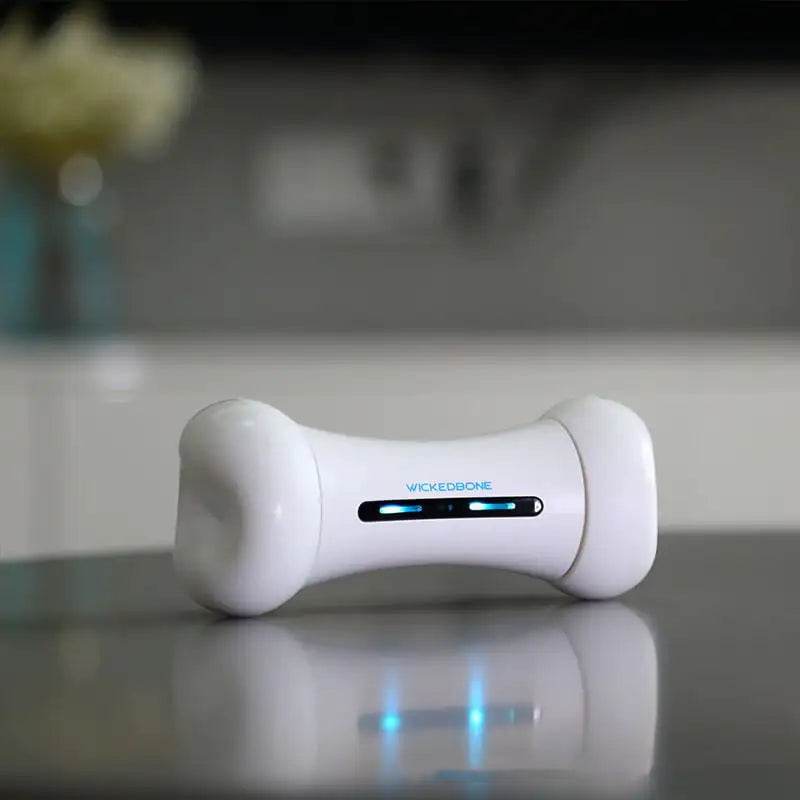 Smart Pet Toy - Crazy Bone Driven Board - Nai Pet Store