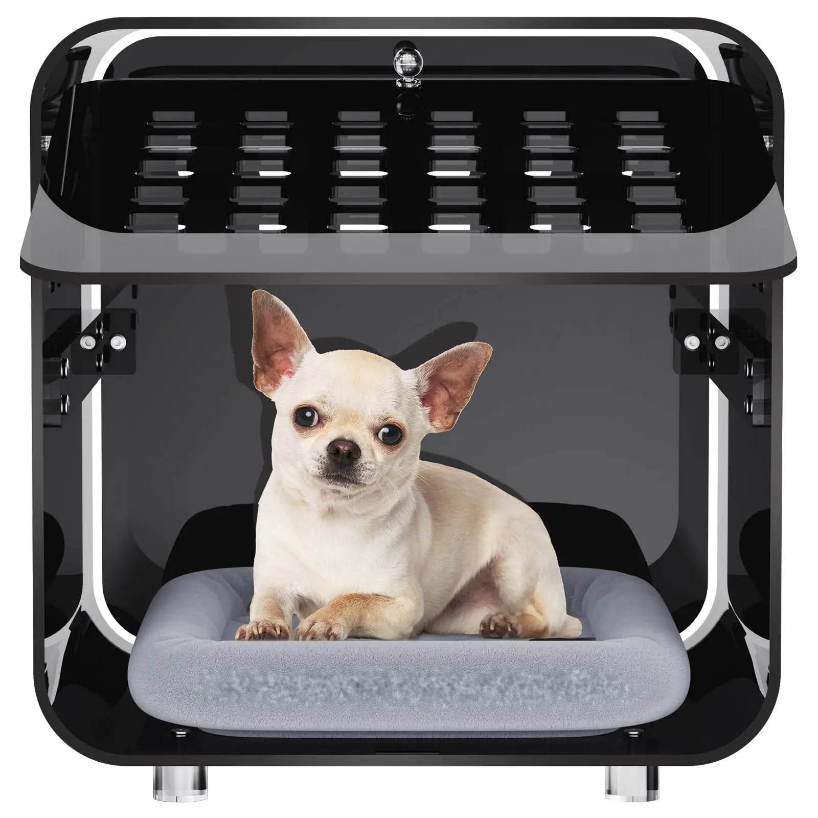 Acrylicolor Acrylic Small Pet Crate - Nai Pet Store