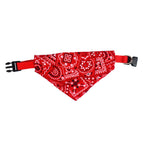 Red / S 1.0cm