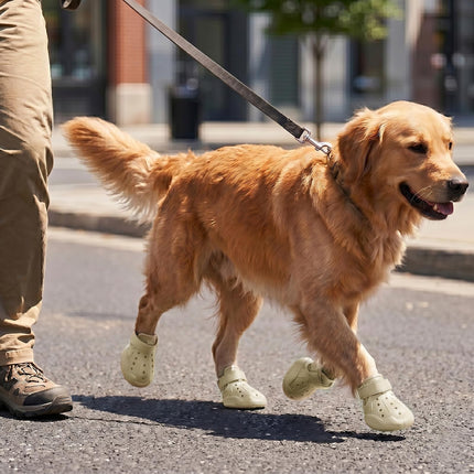 Waterproof Breathable Dog Shoes & Boots