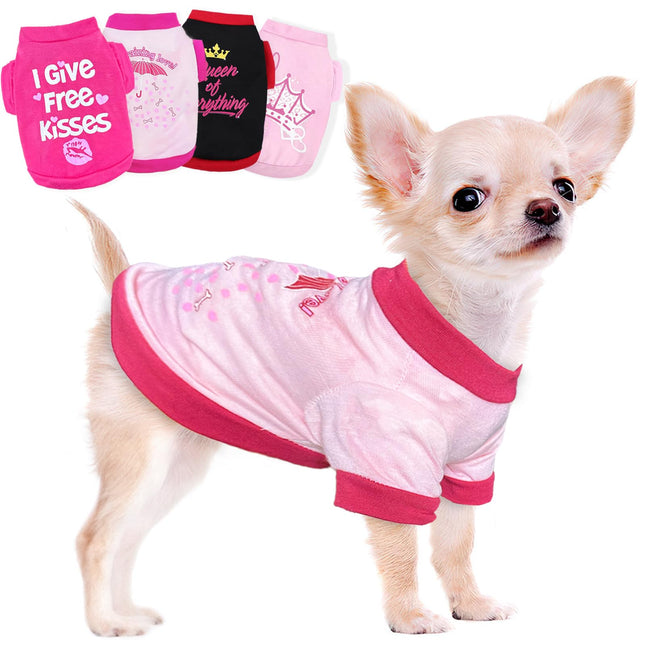 Small Chihuahua wearing a pink pet shirt with various colorful dog clothing options.