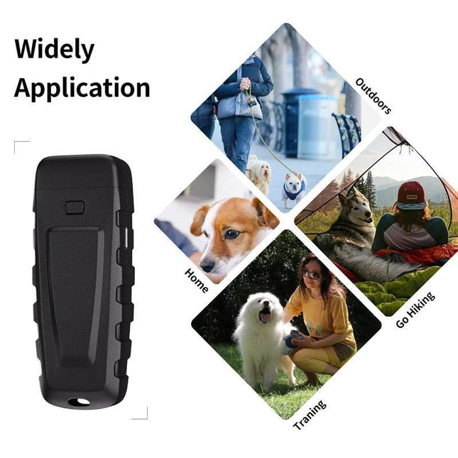 a79f1126-6bf6-4061-8bce-0f74735134a6 - Nai Pet Store