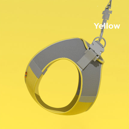 Reflective Vest and Leash for Outdoor Dog Walking