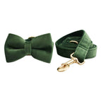 Dog collar / XL