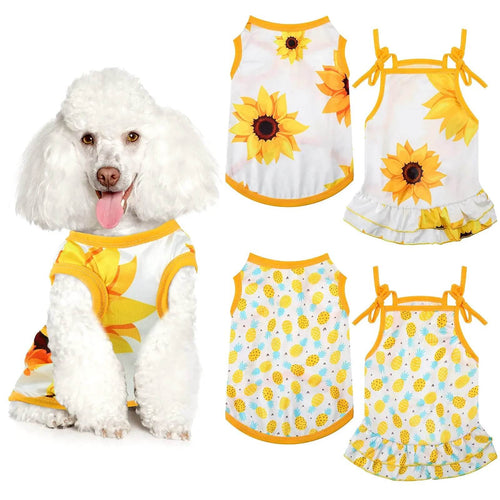 White poodle in sunflower and pineapple print dog dresses, summer pet apparel collection