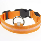 Lumière orange / TP