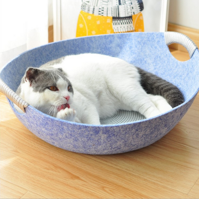Gray and white cat lounging in blue felt pet bed with handles, ideal for cozy cat naps and pet comfort.