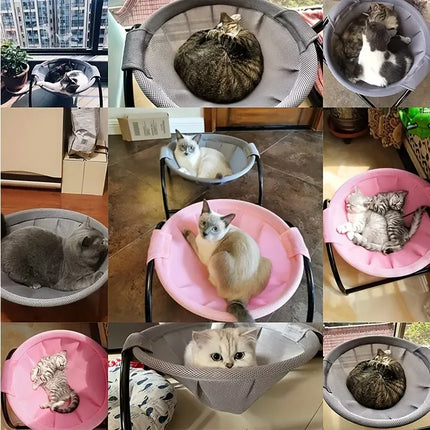 TM elevated cat hammock beds in various colors with cats resting comfortably.