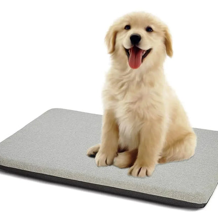 bCAnG2OYNW6kdH2D - Nai Pet Store