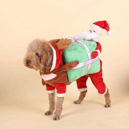 Small brown dog wearing a Christmas reindeer and Santa Claus gift costume.