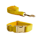 Dog pen dog rope / XS