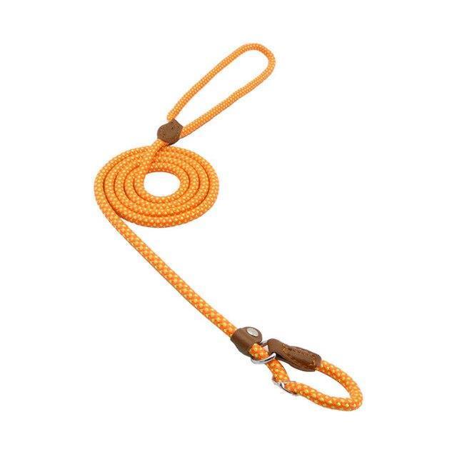 c1decf6b44b4aba39f5abc017b42 - Nai Pet Store